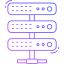 WordPress Website Hosting​