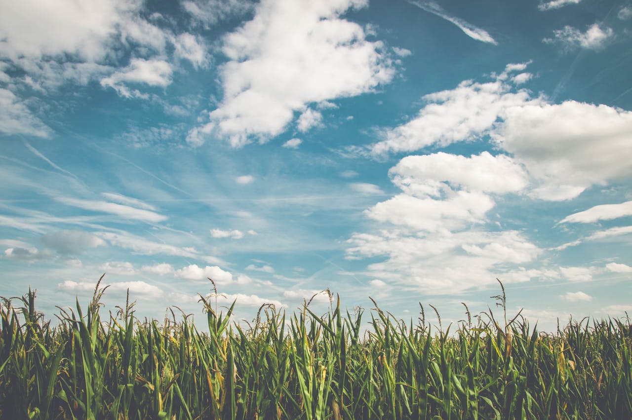 Advantages and How to Use Cloudflare Properly